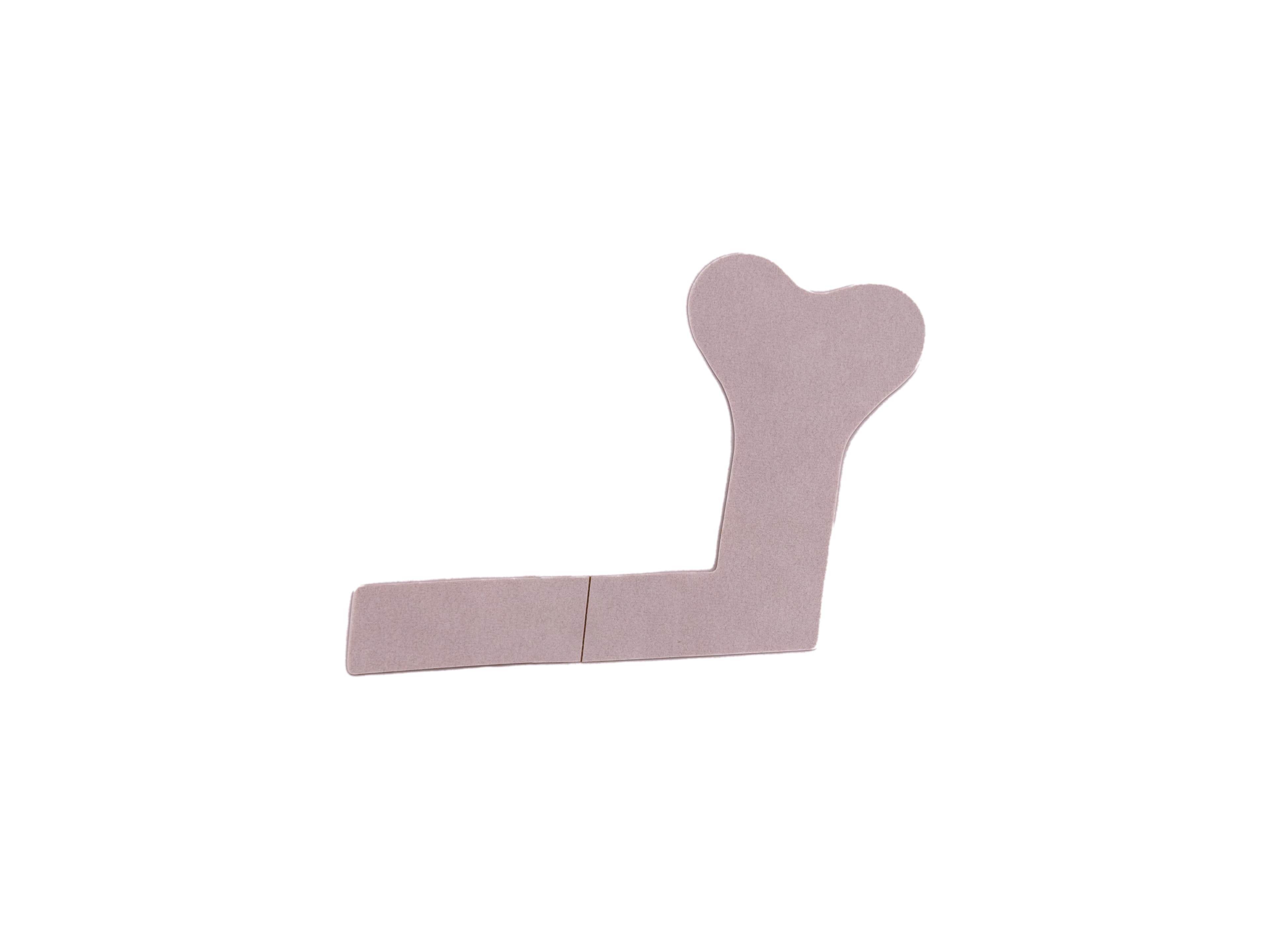 Catheter Fixation DeviceG